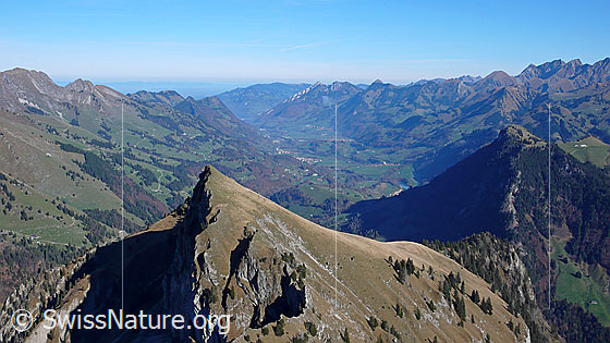 Foto: Blick vom Rochers de Naye zu Dent du Lys, über das Greyerzerland und zu Dent du Lys, Dent de Broc, Dent du Chamois, Tsermon und Vanil Noir.