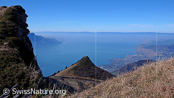 Foto: Blick vom Rochers de Naye über Le Merdasson auf den Genfersee (Le Léman), Montreux und Vevey.