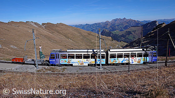 Foto: Zahnradbahn in herbstlicher Umgebung kurz vor der Bergstation am Rochers de Naye. Im Hintergrund ist der Vanil Noir erkennbar.