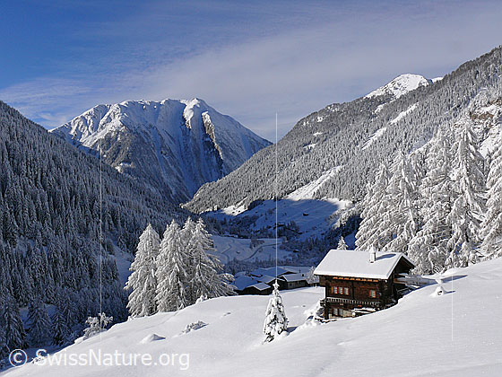 Foto: Chalet in unberührter, frisch verschneiter Berglandschaft. Bergwald mit Tannen und Lärchen bedeckt die steilen Hänge des Bergtals.