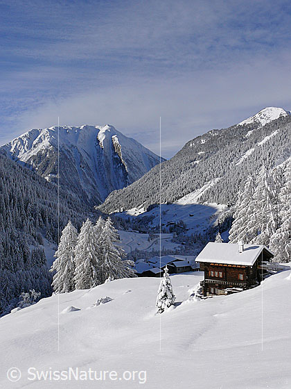 Foto: Chalet in unberührter, frisch verschneiter Berglandschaft. Bergwald mit Tannen und Lärchen bedeckt die steilen Hänge des Bergtals.