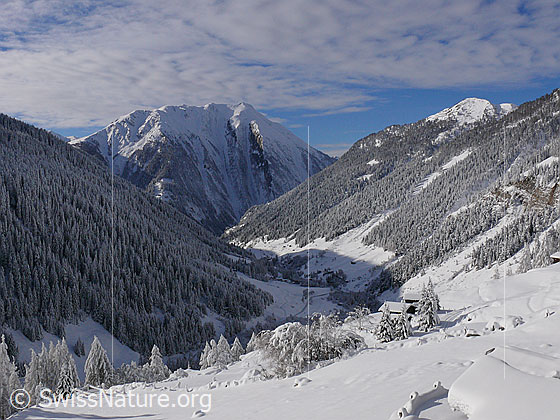 Foto: Binntal im Winter. Frisch verschneites Bergtal mit bewaldeten Berghängen, Lärchen, Alphütten und Breithorn im Hintergrund. Am Himmel sind Föhnwolken zu sehen.
