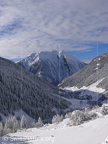 Foto: Bergtal im Winter. Frisch verschneites Binntal mit bewaldeten Berghängen und Breithorn im Hintergrund. Am Himmel sind Föhnwolken zu sehen.