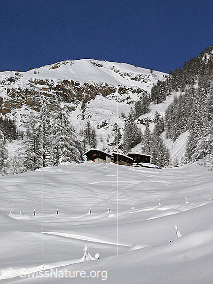 Foto: Weiler mit Chalets am Fusse eines Berges in frisch verschneiter Winterlandschaft. Die Zaunpfähle sind mit Hauben und Mäntel aus Schnee bedeckt.