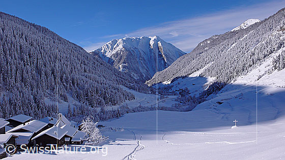 Foto: Schneelandschaft mit Walliser Bergdorf Imfeld, Binntal. Blick über das schneebedeckte Bergtal zum Breithorn. Die Schutzwälder an den steilen Berghängen sind tief verschneit.