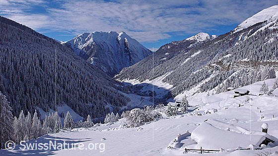 Foto: Winterbild eines Bergtals im Wallis. Frisch verschneites Binntal mit bewaldeten Berghängen und Breithorn im Hintergrund. Am Himmel sind Föhnwolken zu sehen. Die Alphütte im Vordergrund ist nahezu eingeschneit.