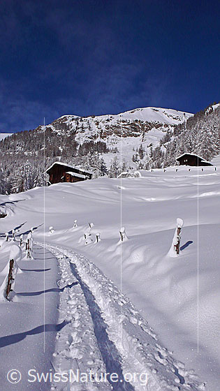 Foto: Schneeschuhtrail in frisch verschneiter, sonniger Berglandschaft mit Alphütten.