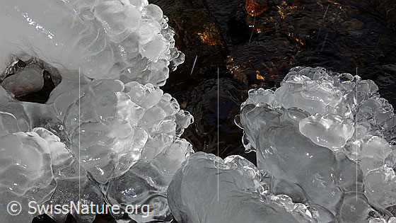 Foto: Gebilde aus Eis am Ufer eines Bergbaches.