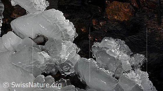 Foto: Natürliches Gebilde aus Eis am Ufer eines Bergbaches.