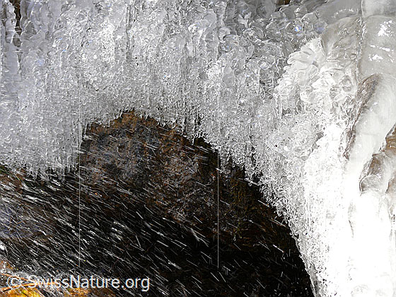 Foto: Wassertropfen spritzen ans Ufer eines Bergbaches und gefrieren zu einem glitzernden Kunstwerk aus Eis.