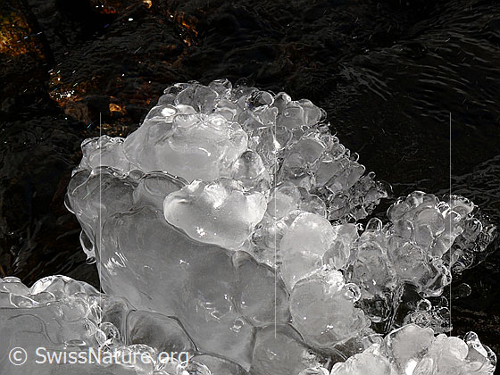 Foto: Natürliches Kunstwerk aus Eis am Ufer eines Bergbaches.
