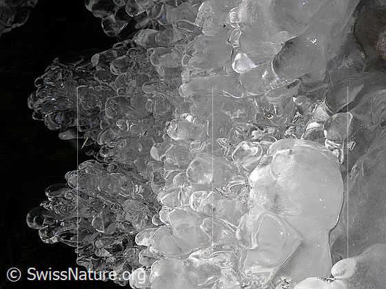 Foto: Perlenförmiges Gebilde aus Eis am Ufer eines Bergbaches.