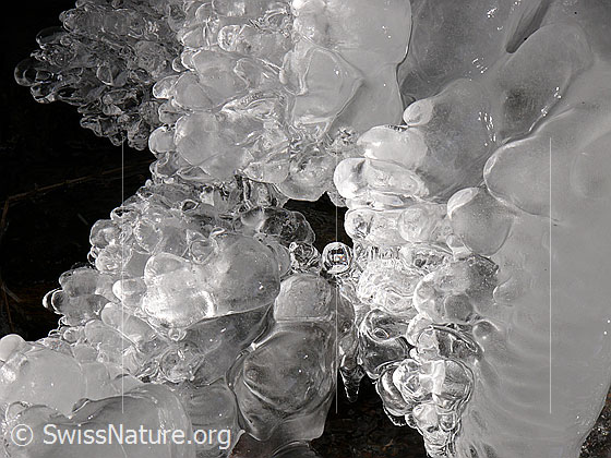 Foto: Natürliches Kunstwerk aus Eis am Ufer eines Bergbaches. Es haben sich zahlreiche Eisperlen gebildet.