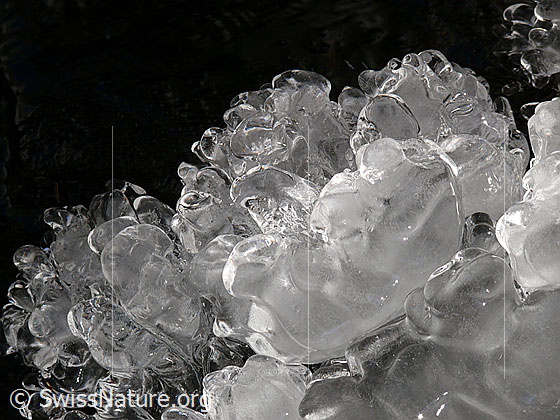 Foto: Natürliches Kunstwerk aus Eis. Zahlreiche Wassertropfen haben diese klare, glänzende Eisstufe entstehen lassen.