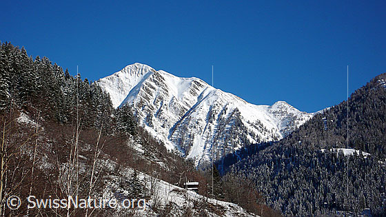 Foto: Verschneites Eggerhorn und rechts die Lichtung, in welcher sich der Weiler Schärtegga befindet.