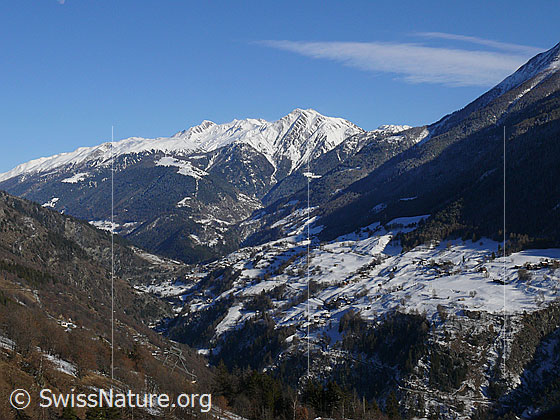 Foto: Blick über die Region Grengiols zum Eggerhorn.
