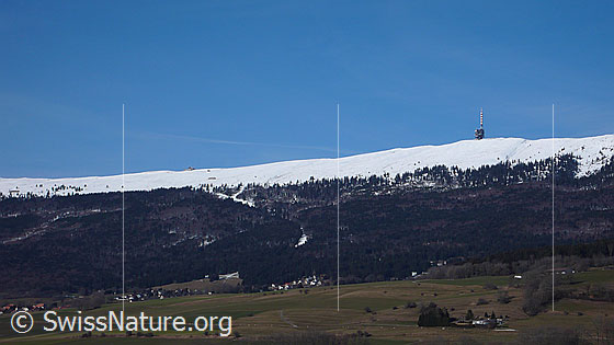Foto: Blick über die landwirtschaftlich genutzte Ebene von Diesse zum Chasseral. Der Höhenzug der Jurakette ist schneebedeckt und im unteren Teil bewaldet. Die mächtige Antenne auf dem Gipfel ist aus grosser Distanz erkennbar.