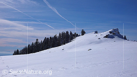Foto: Schneefläche und verschneiter Wald am Chasseral. Dem Grat entlang verläuft eine Skispur. Am blauen Himmel sind Kondensationsstreifen und Schichtwolken zu sehen.