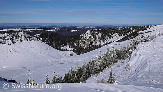 Foto: Blick vom Chasseral über die Winterlandschaft des Jura mit verschneiten Tannen und bewaldeten Jurahöhen.