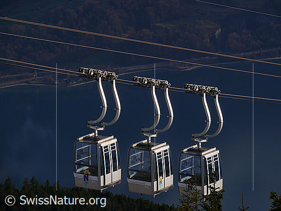 Foto: Gondelbahn Beatenberg - Niederhorn.