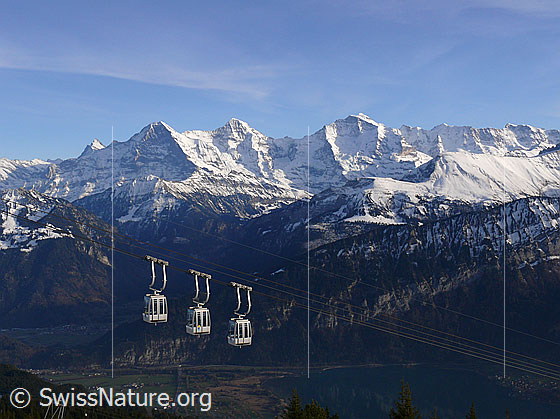 Foto: Gondelbahn vor Eiger, Mönch und Jungfrau.