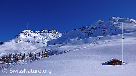 Foto: Berglandschaft mit Alphütte im Winter. Die Hütte ist von einer weiten, unberührten Schneefläche umgeben.