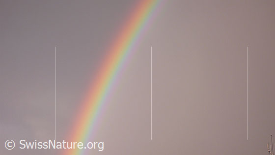 Foto: Leuchtende Spektralfarben eines Regenbogens.