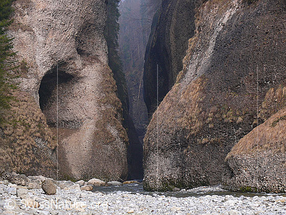 Foto: Blick in die geheimnisvolle, urtümliche Räblochschlucht mit Wänden aus Nagelfluh. Im Vordergrund das Flussbett der Emme. Die tiefsten Teile der Schlucht sind nach heutigen Erkenntnissen während den Eiszeiten unter dem Gletschereis entstanden.