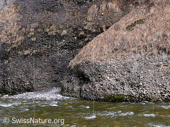 Foto: Emme und Nagelfluhwände am Eingang der Räblochschlucht.