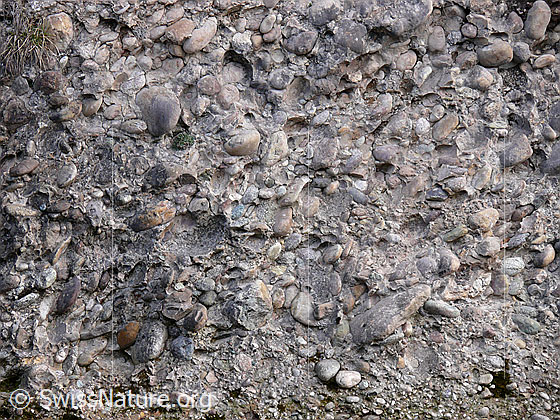 Foto: Nagelfluh im Emmental.