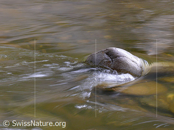 Foto: Wasser umfliesst einen abgeschliffenen Stein in der Emme und bildet einen kleinen Strudel.