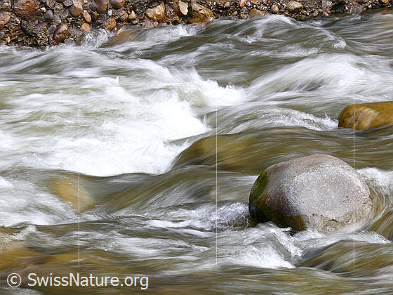 Foto: Steine im Flussbett der Emme bilden kleine Schwellen und lassen Wellen und Wasserstrudel entstehen.