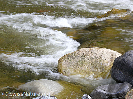 Foto: Steine im Flussbett der Emme bilden kleine Schwellen und lassen Wellen und Wasserstrudel entstehen.