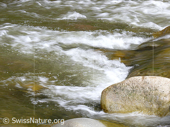 Foto: Steine im Flussbett der Emme bilden kleine Schwellen und lassen Wellen und Wasserstrudel entstehen.