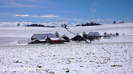 Foto: Weiler mit Bauernhöfen und Obstbäumen in Winterlandschaft. Die Felder sind schneebedeckt. Eine Strasse führt auf eine Anhöhe. Im Horizont sind Wolken, Bäume und Wälder zu sehen.