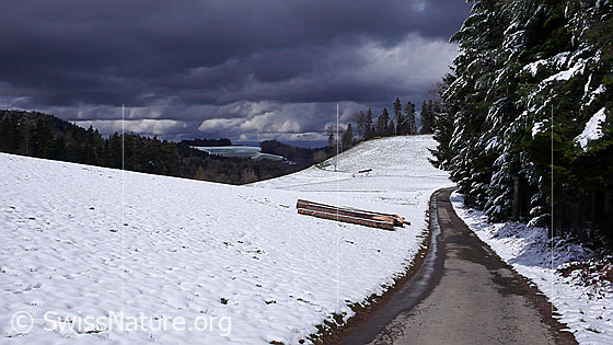 Foto: Stasse und Baumstämme am Waldrand und schneebedeckte Hügellandschaft. Am Himmel herrscht eine dramatische Wolkenstimmung.