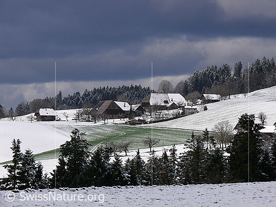 Foto: Wolkenstimmung über Winterlandschaft im Emmental. Zu sehen sind ein Weiler mit Bauernhöfen umgeben von schneebedeckten Hügeln und Wald. In einem Feld schimmert das Grün einer Grasfläche durch die schwindende Schneedecke.
