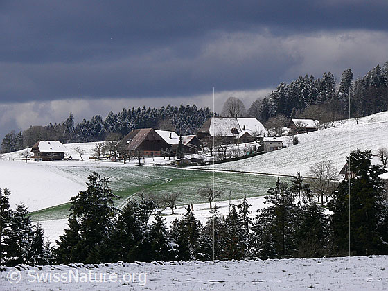 Foto: Wolkenstimmung über Winterlandschaft im Emmental. Zu sehen sind ein Weiler mit Bauernhöfen umgeben von schneebedeckten Hügeln und Wald. In einem Feld schimmert das Grün einer Grasfläche durch die schwindende Schneedecke.