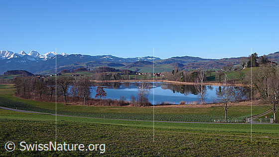 Foto: See mit Spiegelung und Berge der Gantrischkette mit Schnee. Das Seeufer ist mit Schilf, Bäumen und Wald bewachsen. Landwirtschaftsland grenzt an den See. Im Hintergrund ist der Hügelzug des Gurnigels zu sehen.