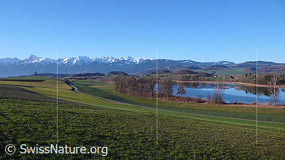 Foto: Berge und See. Kulturland (Wiesland, Acker und Felder)  im Aaretal, verschneite Gantrischkette und Gerzensee mit Spiegelbild.