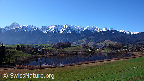 Foto: Stockhornkette, Gantrischgebiet, Dittligsee mit Spiegelung und Hügelzug des Gurnigel. Das Seeufer ist von einem Schilfgürtel umgeben. Stockhorn, Hohmad, Chrummfadenfluh, Nünenenfluh, Gantrisch und Bürglen sind verschneit.