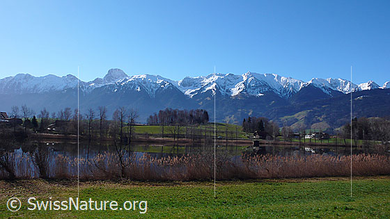 Foto: Dittligsee mit Spiegelung und grüner Umgebung. Im Hintergrund die verschneite Stockhornkette. Das Ufer des Sees ist mit Schilf und Bäumen bewachsen.