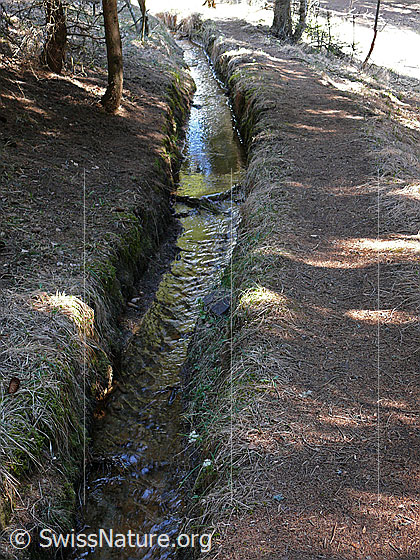 Foto: Wasserleitung (Suone) mit fliessendem Wasser.