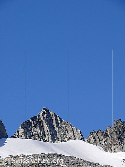 Foto: Sidelenhorn mit zerfurchter Felswand.