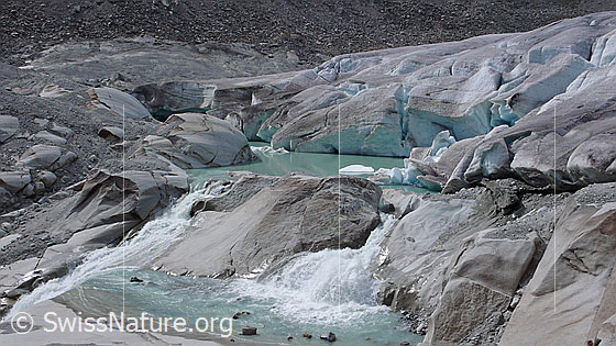 Foto: Gletschersee am Gletschertor des Rhonegletschers. Die Aufnahme stammt aus dem Jahr 2007. Durch Vergleichen mit der Bild Nr. DIA99278 aus dem Jahr 1999 kann der Gletscherrückgang beobachtet werden. Der Gletscher hat auf seinem Rückzug einen Felsriegel freigelegt, an welchem sich das Wasser nun staut. Durch weiteres Abschmelzen des Gletschers wird sich der See vergrössern und könnte im Laufe der Zeit eine Naturgefahr darstellen.
