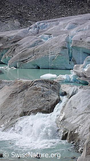 Foto: Quelle der Rhone. Der Rhonegletscher bricht in einen kleinen See ab, aus welchem die Gletschermilch als sprudelnder Bergbach abfliesst. Im Gletschersee schwimmen Eisschollen.