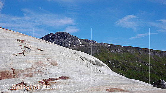 Foto: Gletscherschliff des Rhonegletschers und Tällistock. Darüber blauer Himmel mit leichten Schleierwolken.
