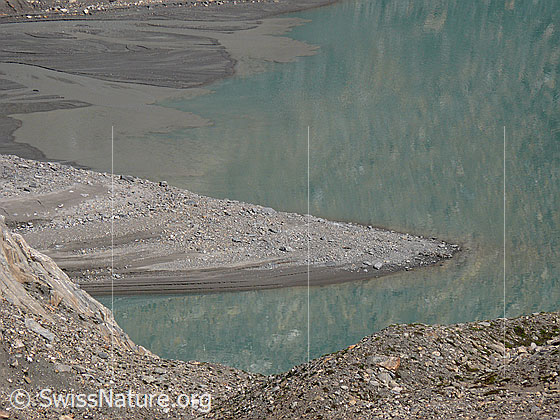 Foto: Zufluss in den Griessee. Durch die Sand- und Gesteinsablagerungen im Delta entstehen neue Halbinseln.