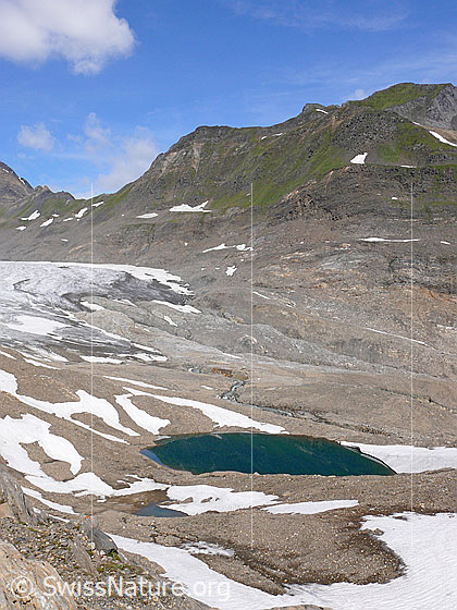 Foto: Gletscherzunge des Griesgletschers und Gletschervorfeld mit kleinem See.