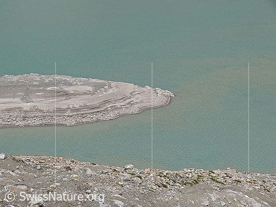 Foto: Insel im Griessee